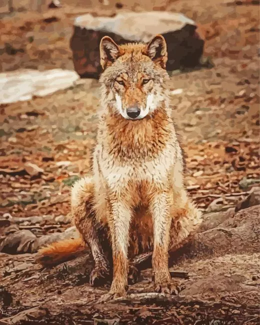Brown Wolf Diamond Paintings Brown Wolf Diamond Painting