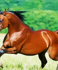 Arabian Brown Horse Diamond Painting