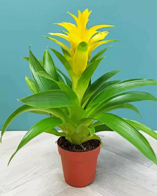 bromeliad pot Diamond With Numbers Bromeliad Pot Diamond Painting