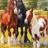 Brown And Black Horses Diamond Painting