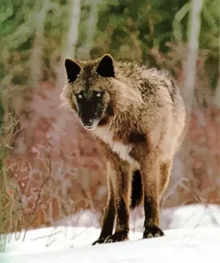 Brown And Black Wolf Diamond Painting