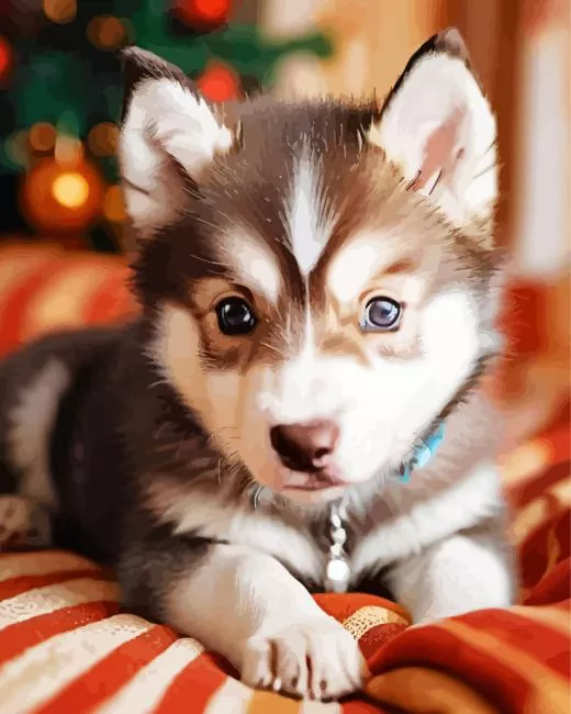 brown baby husky Diamond With Numbers Brown Baby Husky Diamond Painting