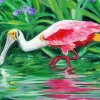 Flat Billed Pink Bird Art Diamond Painting