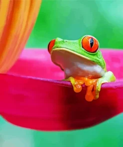 Frog In Flower Diamond Painting