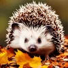 Hedgehog With Leaves Diamond Painting