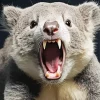 Koala Fangs Diamond Painting