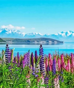 Lake Tekapo New Zealand Diamond Painting