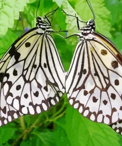 Large Tree Nymph Diamond Painting