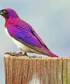 Lavender Bird Diamond Painting