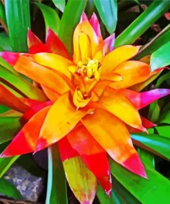 Orange Bromeliad Diamond Painting