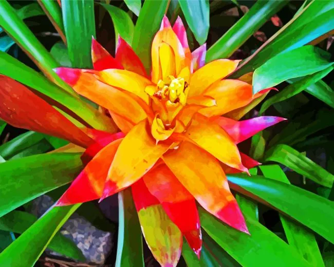 orange bromeliad Diamond With Numbers Orange Bromeliad Diamond Painting