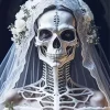 Skull Bride Diamond Painting