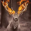 Burning Buck Antlers Diamond Painting