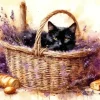 Black Cat And Lavender Diamond Painting