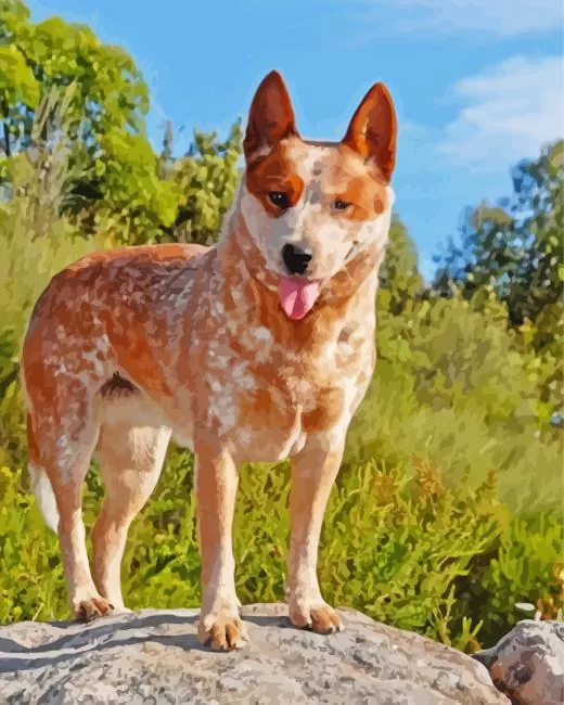 brown blue heeler Diamond Paints Brown Blue Heeler Diamond Painting