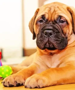 Brown Bull Mastiff Diamond Painting