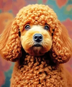 Brown Curly Poodle Diamond Painting