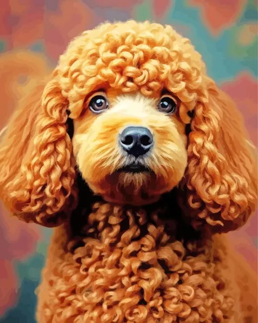 brown curly poodle Diamond By Numbers Brown Curly Poodle Diamond Painting