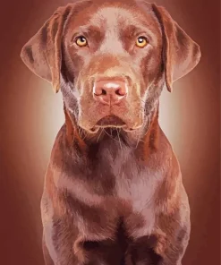 Brown English Labrador Diamond Painting