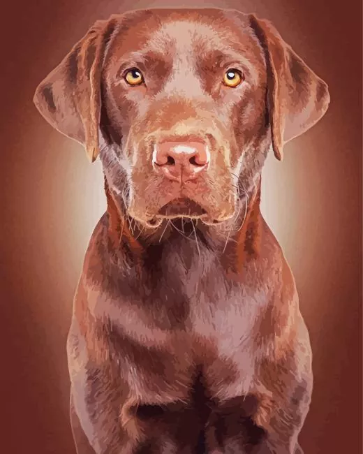 brown english labrador Diamond Paints Brown English Labrador Diamond Painting