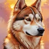 Brown Eyes Husky Diamond Painting
