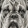 Bulldog Face Diamond Painting