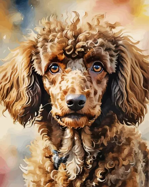 french brown poodle Diamond By Numbers French Brown Poodle Diamond Painting