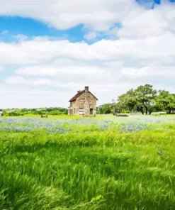 Texas Countryside Diamond Painting