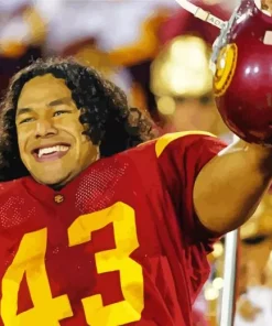 Troy Polamalu Art Diamond Painting