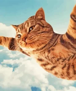 Cat In The Sky Diamond Painting
