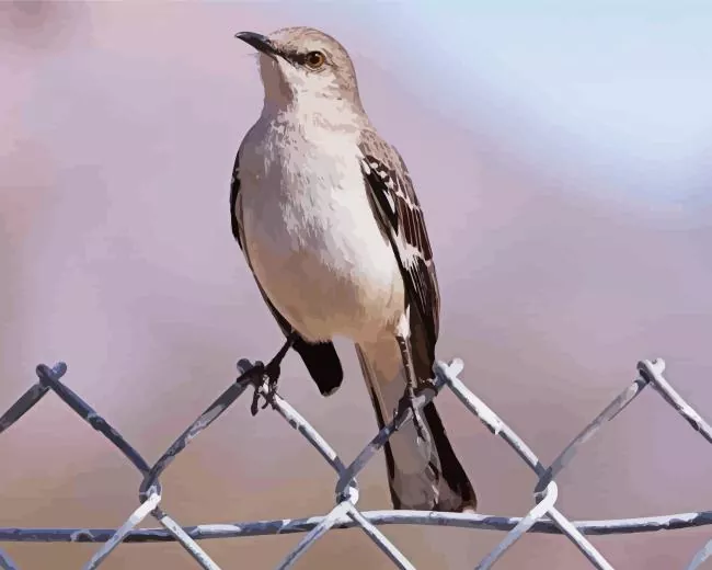 Mockingbird Diamond Paintings Mockingbird Diamond Painting