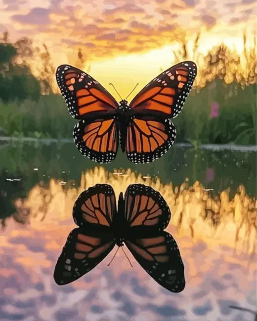 Monarch Butterfly Reflection Diamond Paints Monarch Butterfly Reflection Diamond Painting