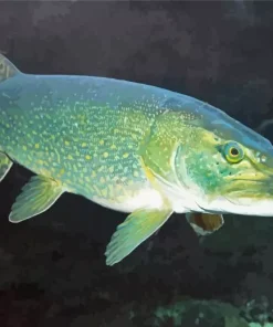Northern Pike Fish Diamond Painting