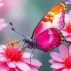 Pink Butterfly On Pink Flower Diamond Painting
