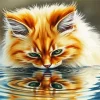Ragdoll Cat Reflection Diamond Painting