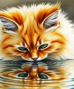 Ragdoll Cat Reflection Diamond Painting