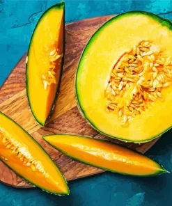 Sliced Cantaloupe Fruit Diamond Painting