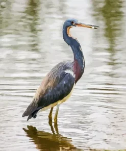 Tricolored Heron Diamond Painting