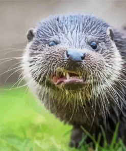 Angry Otter Diamond Painting