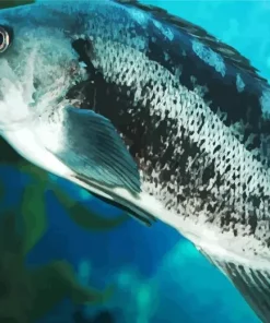 Black Bass Fish Diamond Painting