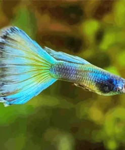 Blue Moscow Guppy Diamond Painting