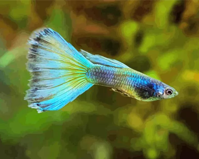 blue moscow guppy Diamond Paintings Blue Moscow Guppy Diamond Painting