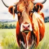 Brown Scottish Cow Diamond Painting