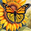 Butterfly On Sunflower Diamond Painting