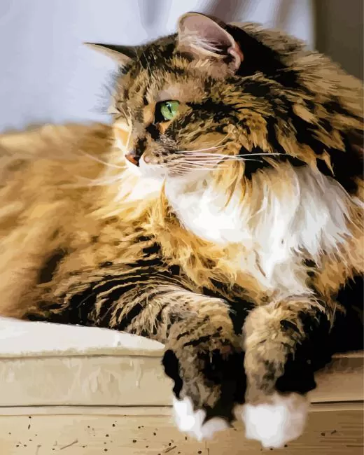 calico cat long hair Diamond By Numbers Calico Cat Long Hair Diamond Painting