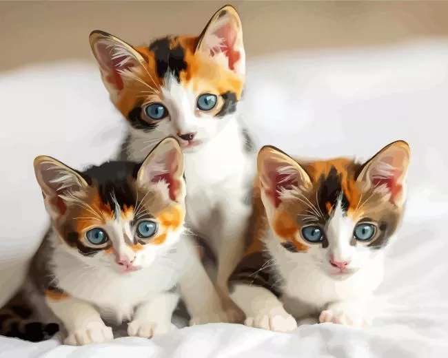 calico kittens Diamond Paintings Calico Kittens Diamond Painting