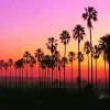 California Palm Trees At Sunset Diamond Painting