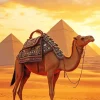 Camel And Pyramids Diamond Painting
