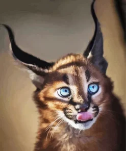 Caracal With Blue Eyes Diamond Painting