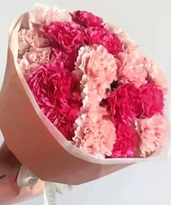 Carnation Flowers Diamond Painting